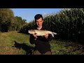 Feeder Fishing For Chub On A Big River