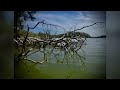 Kayak Exploring Maryland’s Rhode River on Earth Day 22 April 2022