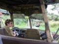 Giraffe teases Kilimanjaro Safaris driver