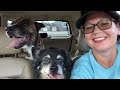 Taking my dogs to Heritage Park, Andrews, North Carolina