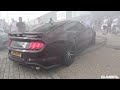 Ford Mustang 5.0 V8 Royal Crimson GT Performance - BURNOUT & SOUND!