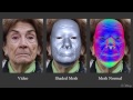 Real-Time High-Fidelity Facial Performance Capture