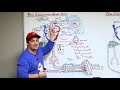 Embryology | Development of Fetal Circulation