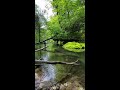 Trout in Iowa