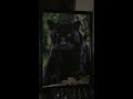 5D Diamond Painting - Black Panther - stitchdiamond.com