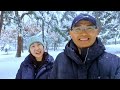 42년만의 서울 폭설 내리는 풍경 ^^ Heavy snowfall in Seoul~ 함박눈/설경/seoul travel/korea