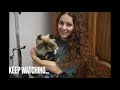 Today I groomed a new species | Weirdest cat ever