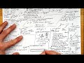 All of PARTICLES & QUANTUM in 10 minutes - A-level Physics Revision Mindmap