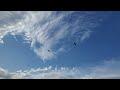 Hang Gliding in Florida