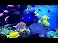 Aquarium 4K VIDEO (ULTRA HD) 🐠 Beautiful Coral Reef Fish - Relaxing Sleep Meditation Music #131