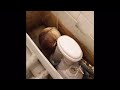Toilet Weak Flush? repair siphon v2
