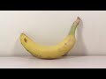 A banana 🍌