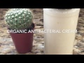 DIY Organic Antibacterial Cream