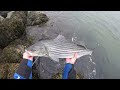 Fishing For HUGE Striped Bass At The Cape Cod Canal 2023