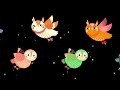 Infant Birds Sensory Video: Cute Owls Flying Contrast Toddler Visual Stimulation + Tropical Music