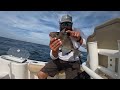 2 Hours Of Insane Offshore Fishing!