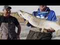 Best Tip Up Pike Fishing | Fort Peck, Montana