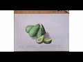 Avocados Drawing Timelapse [Monochromatic Pencil Rendering]