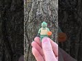 Lego Squidward goes to the park