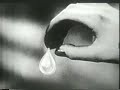 Joy Dishwashing Liquid 1950s
