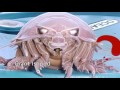Top 10 CREEPY Deep Sea Creatures You Didn't Know Existed!