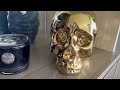 Seletti Limited Gold Edition Porcelain Skull Review, Stylish Gold Skull Home Decor