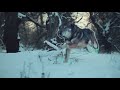 Rotoscoping - Wolf Running (Motion Graphics Part 6)