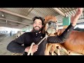 COW MANDI LAG GAI 😳 1 CRORE KY JANWAR 😱 |  BAKRA EID SPECIAL | SYED FAHAD