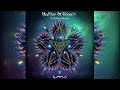 Hedflux - Collaborations - 05 Lumination (Brujo's Bowl Remix)   -   ultra HQ