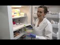 Extracting Plasmid DNA: How To Do a Miniprep