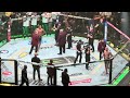 Alex Pereira Walkout at UFC 300