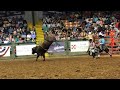 Wilfong Bucking Bulls BW 16 Leap Of Faith