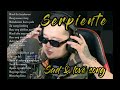 SERPIENTE NONSTOP SAD&LOVE SONG PLAYLIST 2024