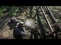 Daily Chores - RDR2