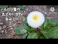 수리산폴카 쵸코파이정TV (원곡 진미)