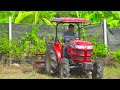 Living off the grid - cultivating the land turned into a beautiful green vegetable garden