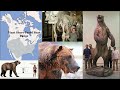 BMO Creative Cryptid Video: Naked Bear - NiaGwahe