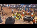 hokkadigoli veera vikrama jodukere kambala 2021,ಹೊಕ್ಕಾಡಿಗೋಳಿ ಕಂಬಳ