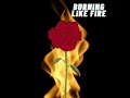 Burning Like Fire Official Audio - Jasmine Rainbow