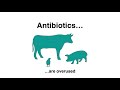 Antibiotics - Mechanisms of Action (Classification) and Antibiotic Resistance