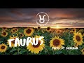 TAURUS. [CHILL] Calvin Harris x Doja Cat Type Beat | LoFi Funk Type Beat | prod. dhiilawn