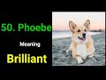 TOP 50 Most Popular Female Dog Names With Meaning / Reine O