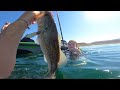 My Craziest Summer Bass Fishing Extravaganza with Family