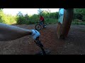 THRILLSEEKER | Tioga Recreation Area | Minnesota Mountain Biking