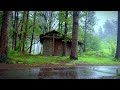 Listen To Rain Sounds In Forest When You Need To Study📚Relax🧘🏼‍♀️Sleep😴 RAIN Sounds For Sleeping