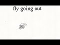 Fly coming in vs going out