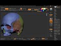 ZBrush Tip: Where are my polygroups? • Auto Groups With UV