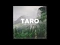 TARO - (#progressivehouse /#melodichouse / #melodictechno) -mixed by mja music switzerland