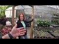 Spring Forward! Early Spring Plant Delivery & Nursery Tour