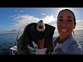 Mollys Biggest FISH !! CATCH & COOK on the Boat